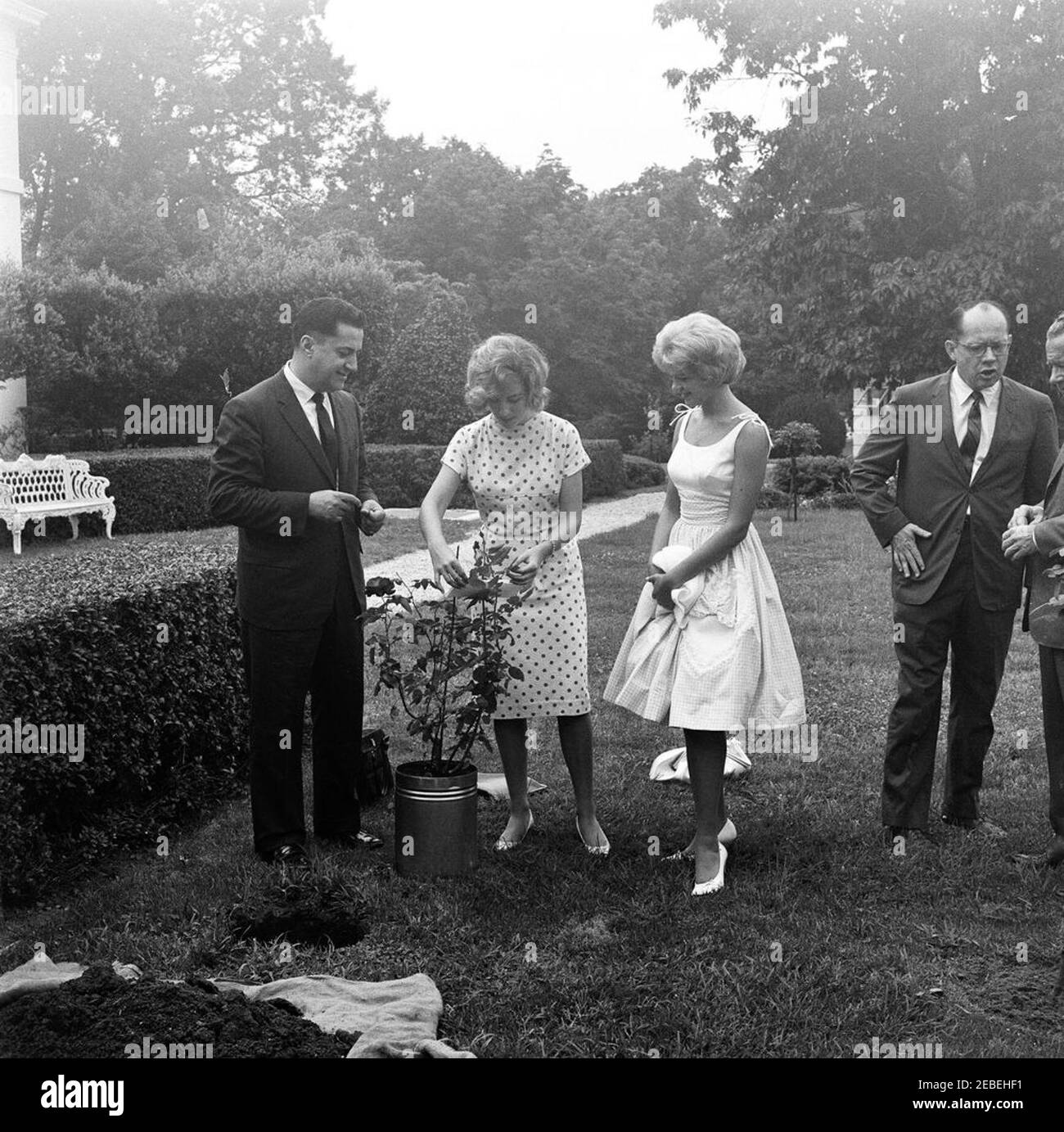 Planting a rose bush at the White House. Planting a rose bush at the