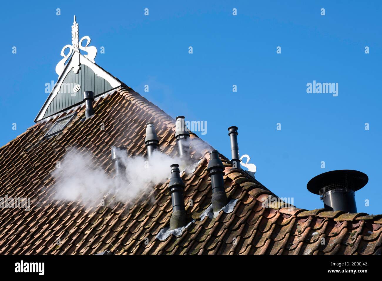 Roof of a Frisian farm with many chimneys and typical wooden triangular so-called 'Uilenbord' in the ridge with a mute swan on either side. Blue sky Stock Photo