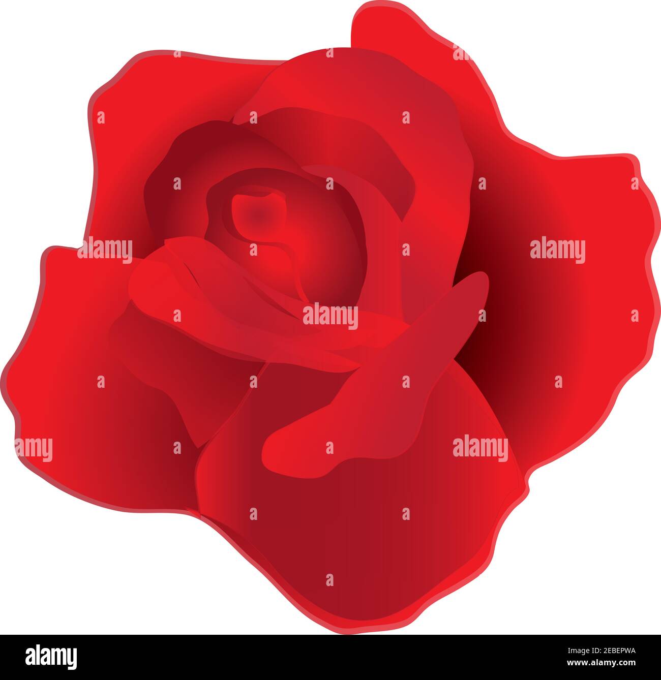 Red Rose Graphic Stock Photo Alamy