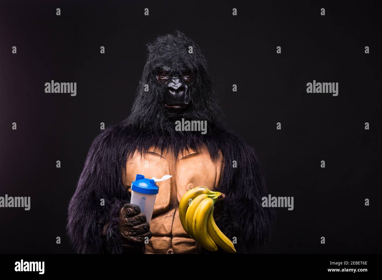 Page 3 - Muscular monkey High Resolution Stock Photography and Images -  Alamy