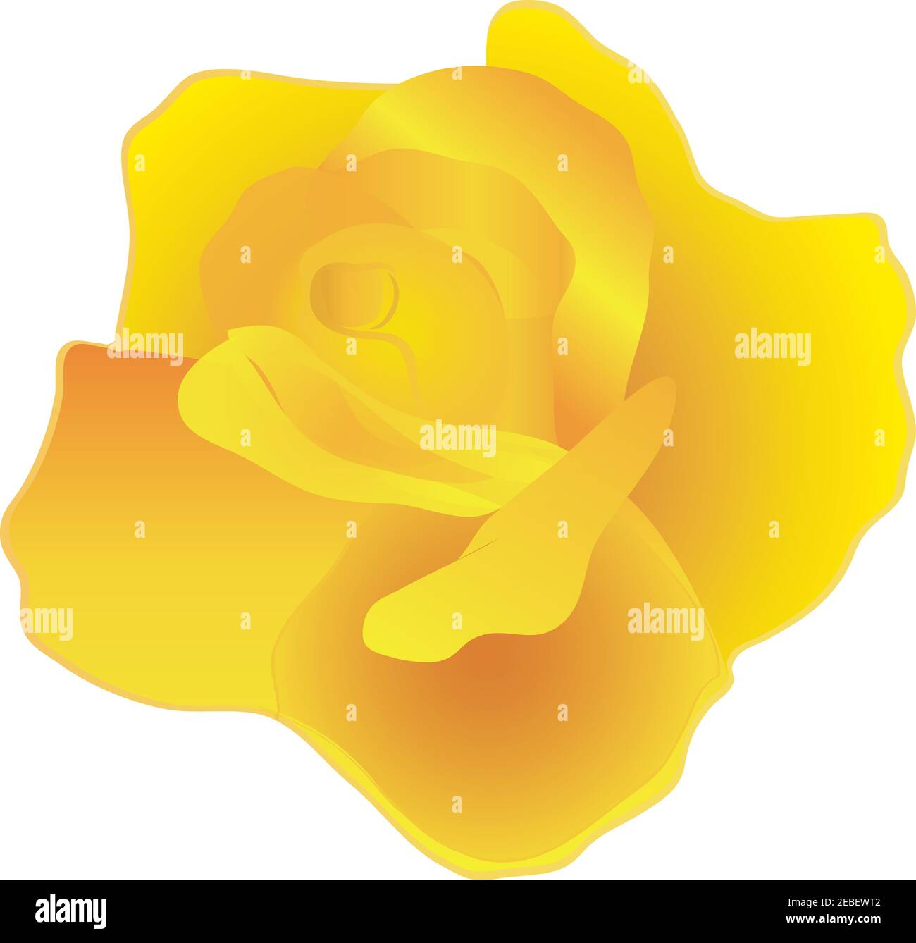 Orange Yellow Roses Graphics Yellow Rose Graphic Stock Photo - Alamy