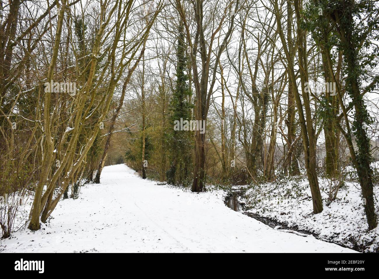 Crawley uk hires stock photography and images Alamy