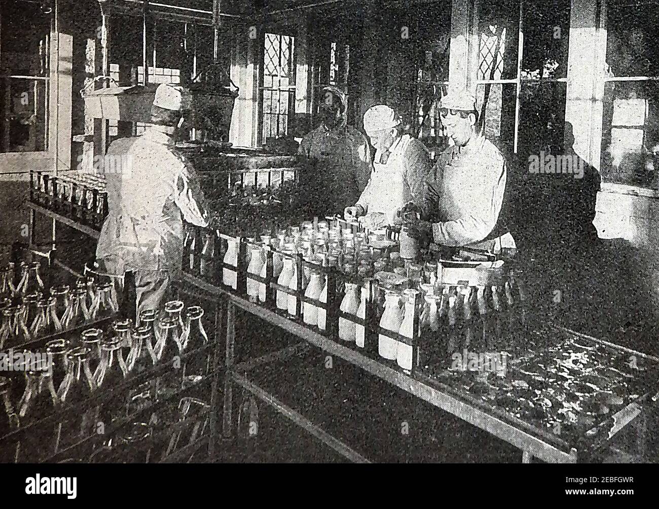 An early  1930's printed photograph taken in a milk bottling plant in a 1930's British dairy. The man on the right is seen sealing (capping) individual bottles whilst all employees wear white gowns and caps for hygiene purposes. Bottles would have been imbossed with the dairy's name. Stock Photo