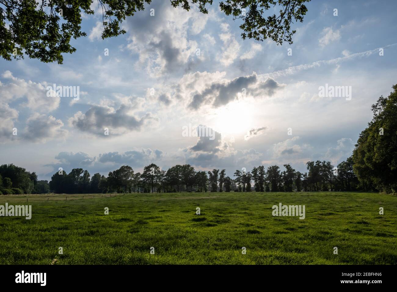 Sunset on a young Kampen landscape near Vragender municipality of East Gelre Stock Photo