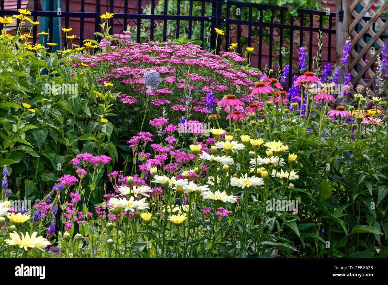 A combination of perennial and annual plants in midsummer make a showy display when in full blossom. Stock Photo