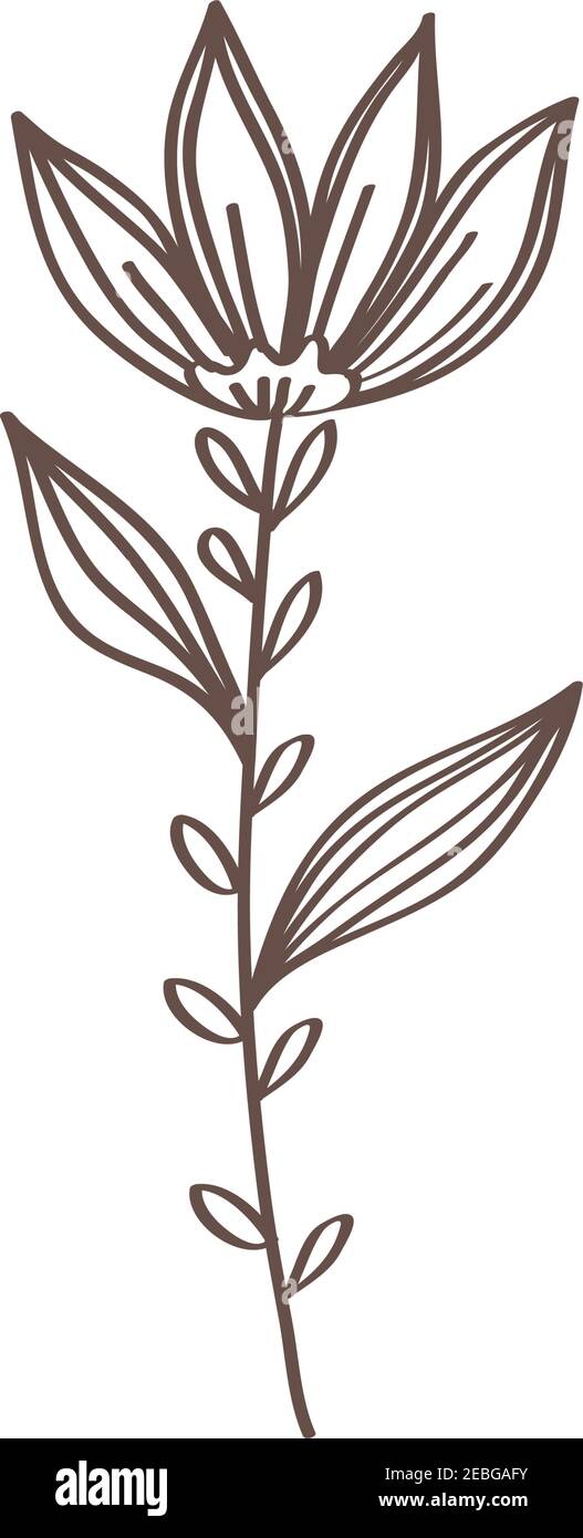 spring flower and leafs hand drawn icon Stock Vector Image & Art - Alamy