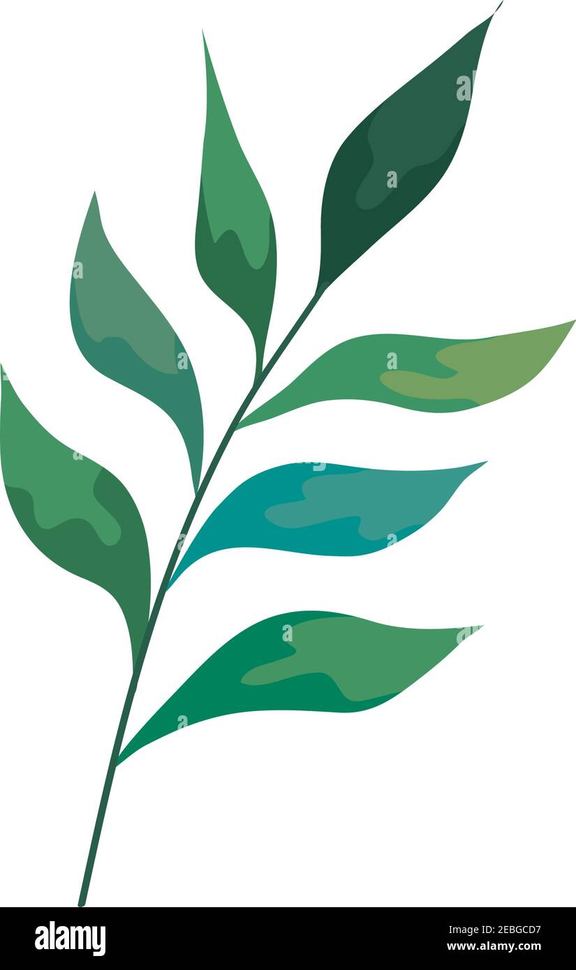 branch with leafs plant decorative icon Stock Vector Image & Art - Alamy