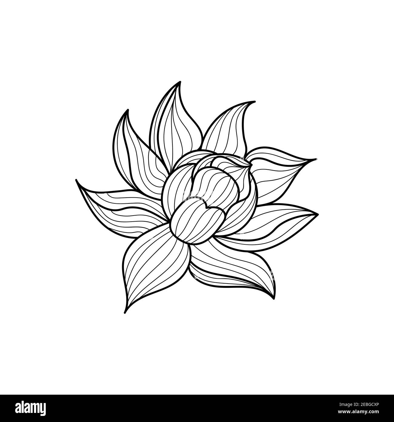 Lotus flower icon. Black line on a white background. Vector ...