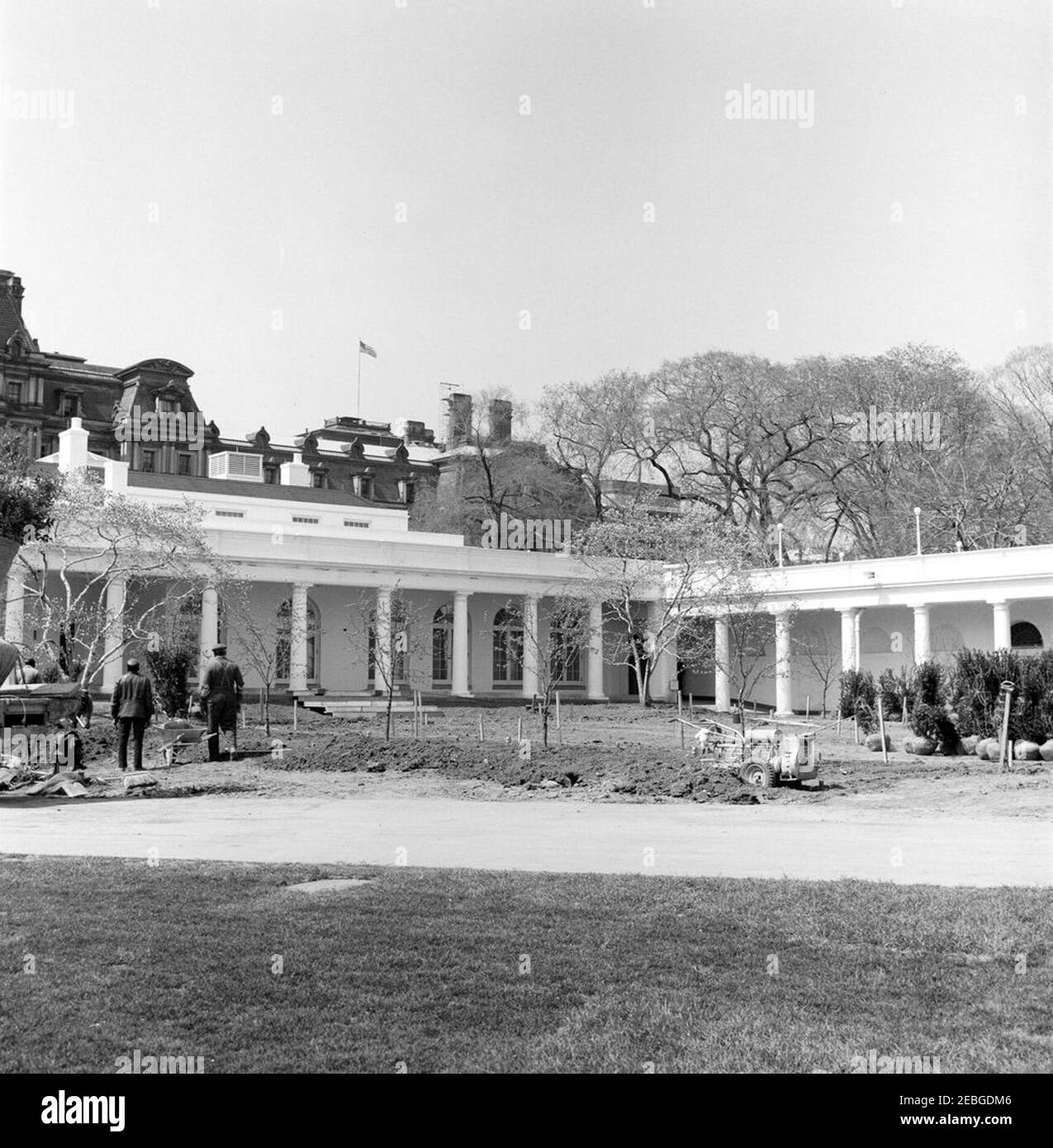 Rose Garden reconstruction, progress photos. Construction work in