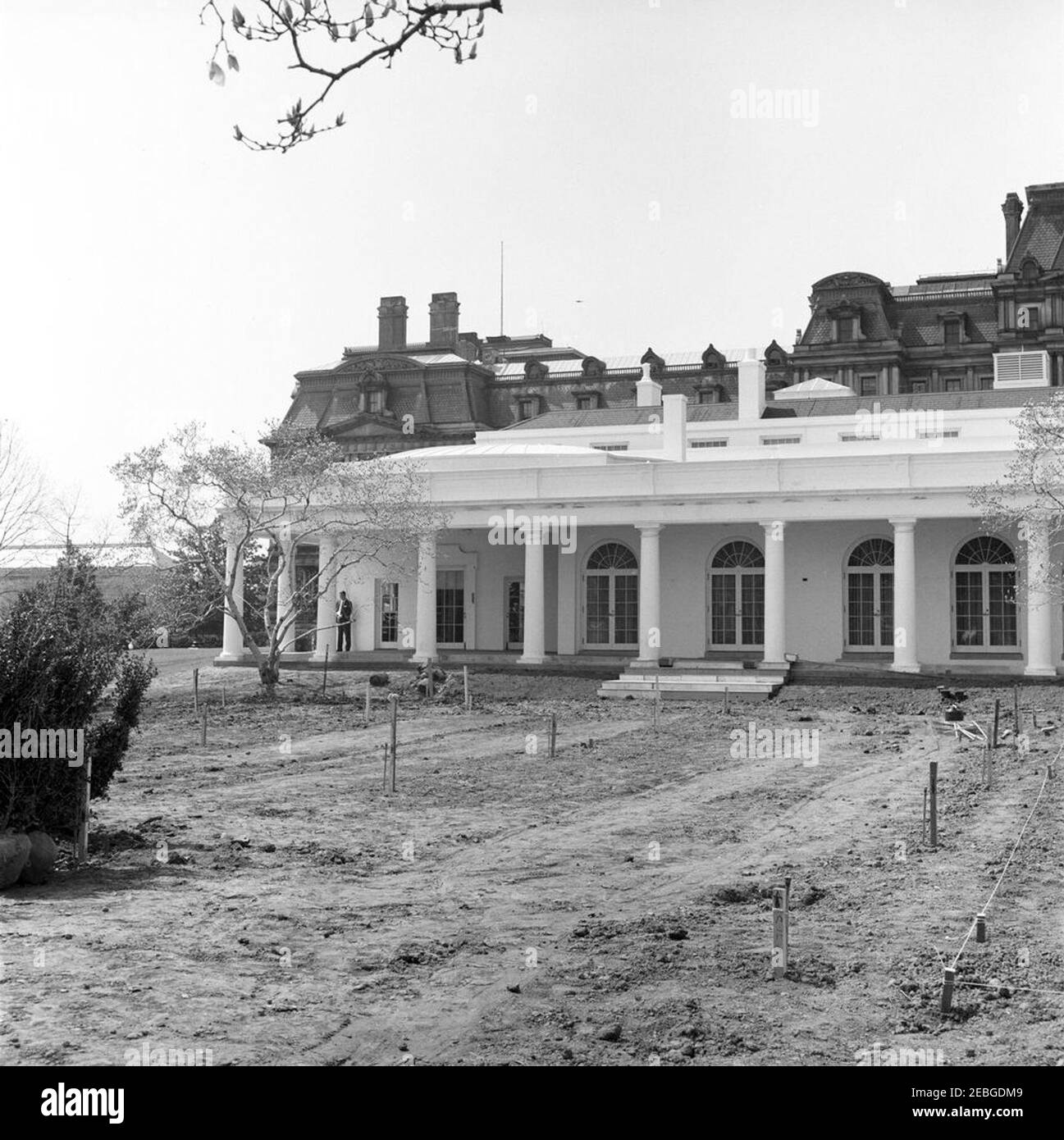 Rose Garden reconstruction, progress photos. Construction work in