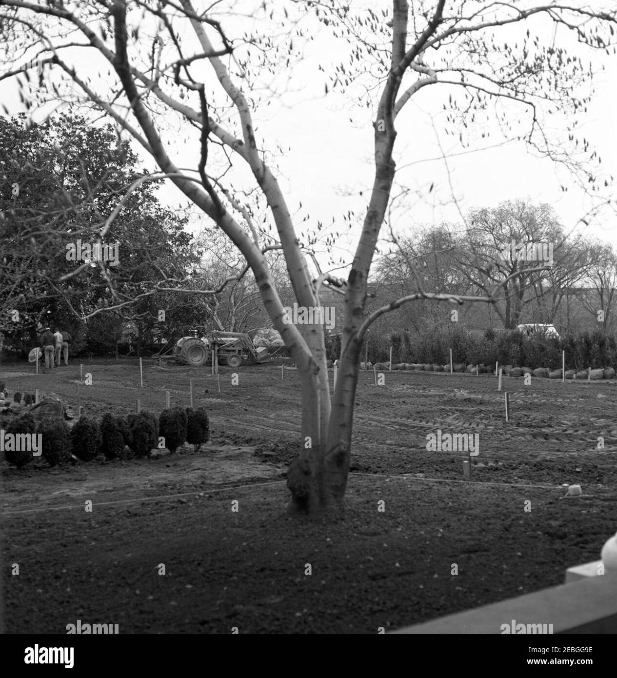 Rose Garden reconstruction, progress photos. Construction work in progress in the Rose Garden of