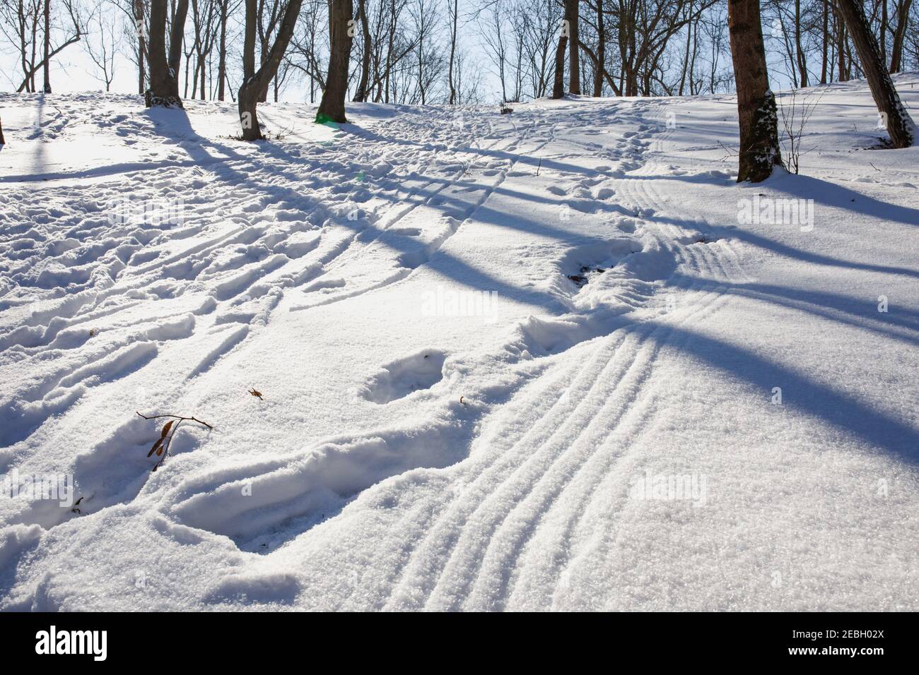 Parallel Shadows Parallel shadow lines on white snow background. Sunny winter day in a ...