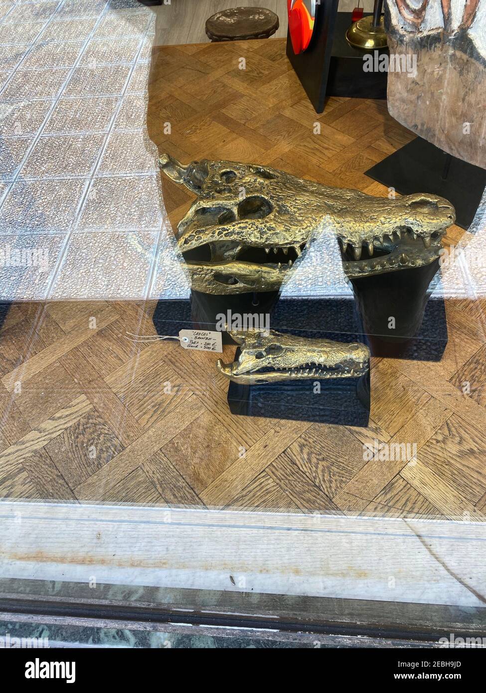 Crocodile in shop window Stock Photo