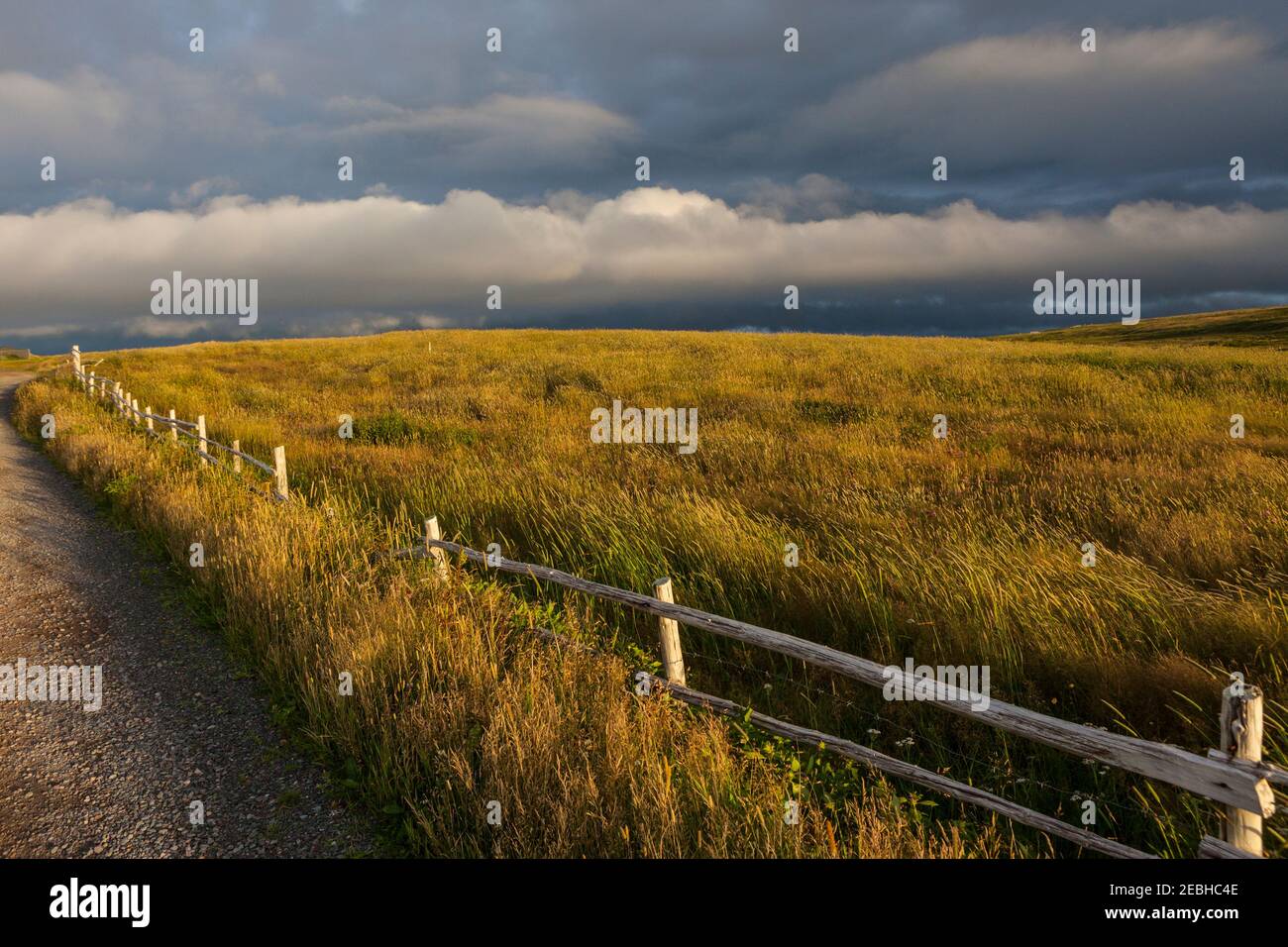 Landscape, Clouds, ocean and fence in the early morning, St. Bride's, Newfoundland Stock Photo