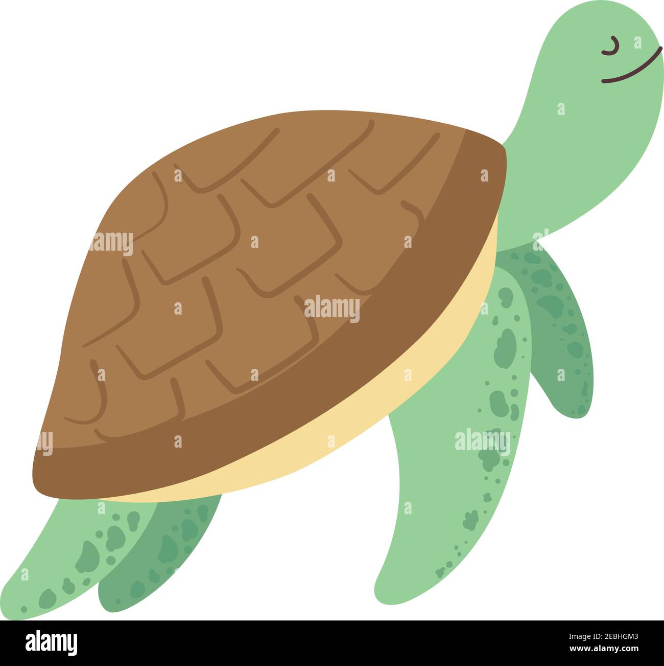 tortoise wild sealife animal icon Stock Vector Image & Art - Alamy