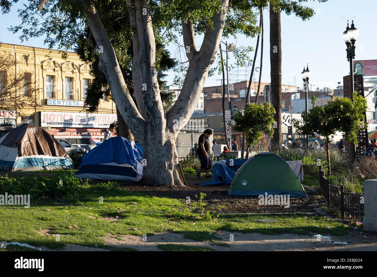 Los Angeles, CA USA January 10, 2021 Homeless encampment at
