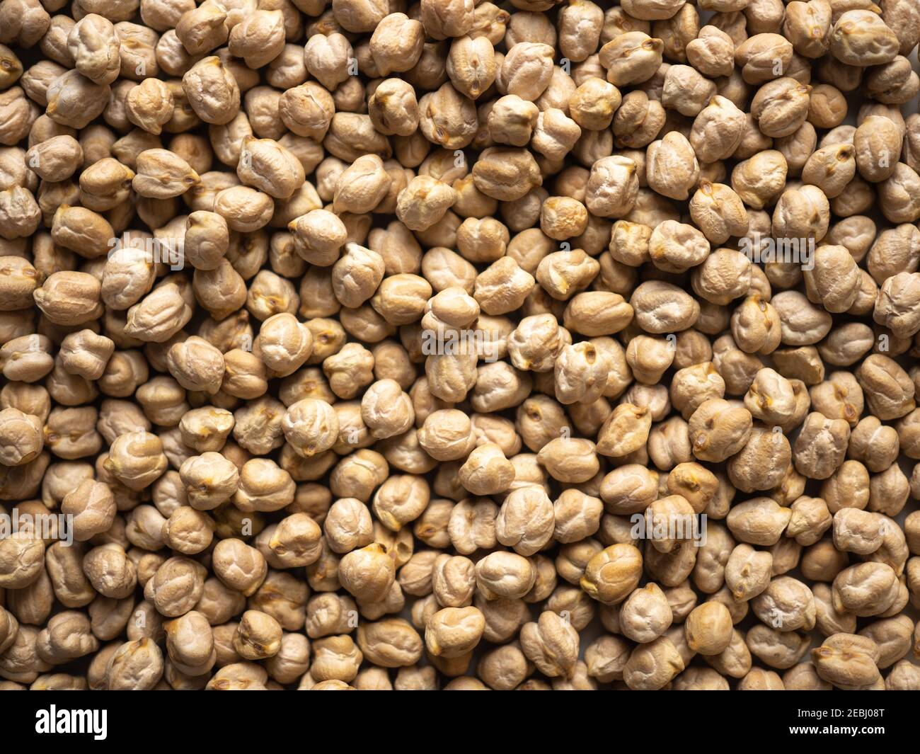 Dried, legume, leguminous plants, structure, chickpea, backdrop