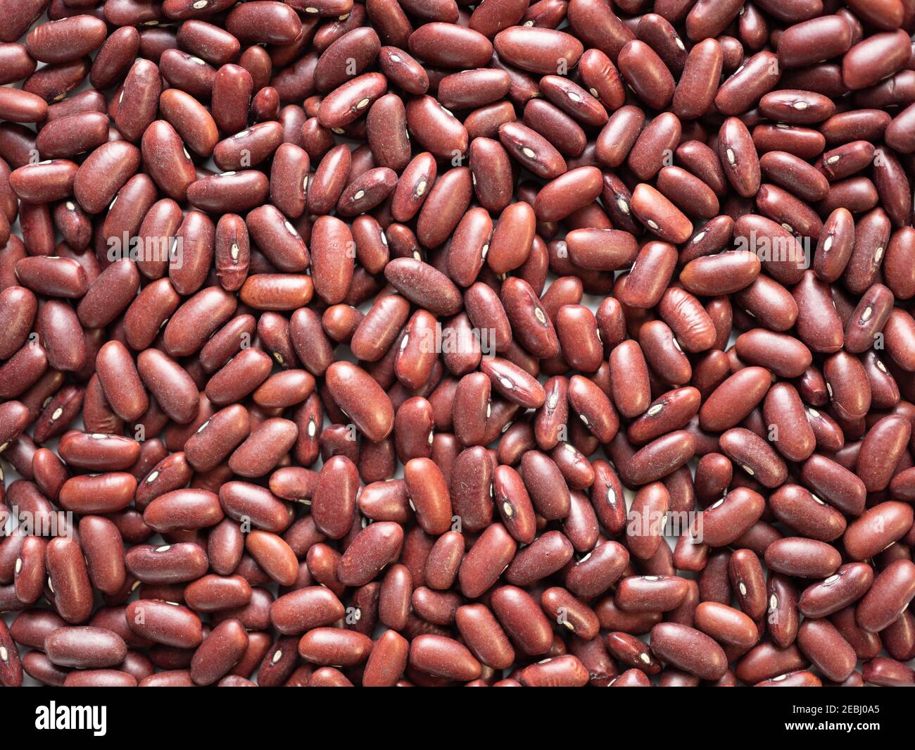 Dried, legume, leguminous plants, structure, kidney beans, backdrop