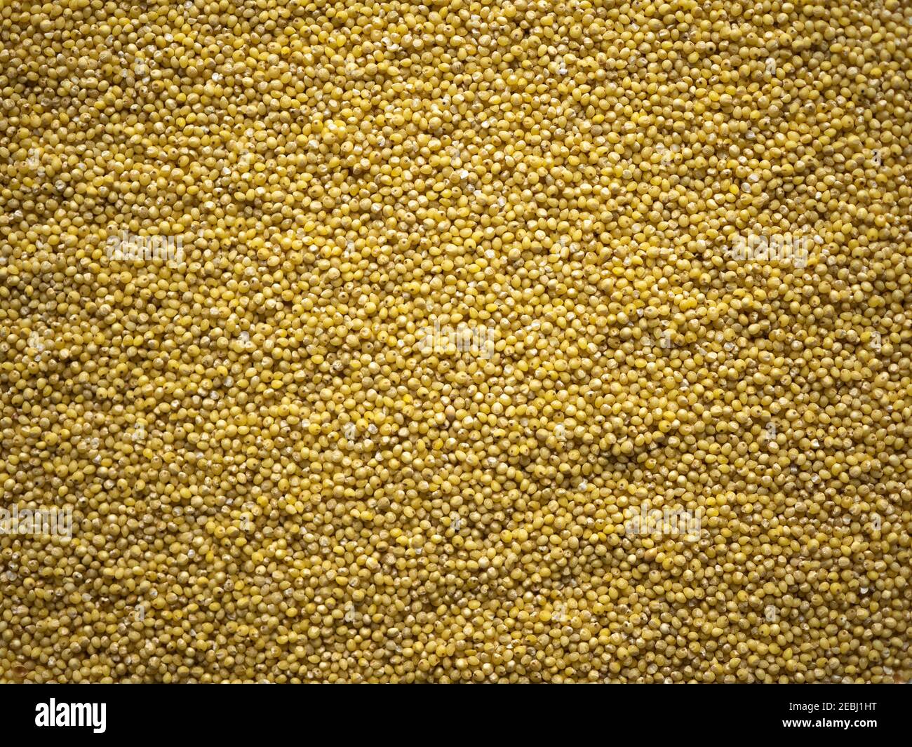 Dried, legume, leguminous plants, structure, millet, backdrop
