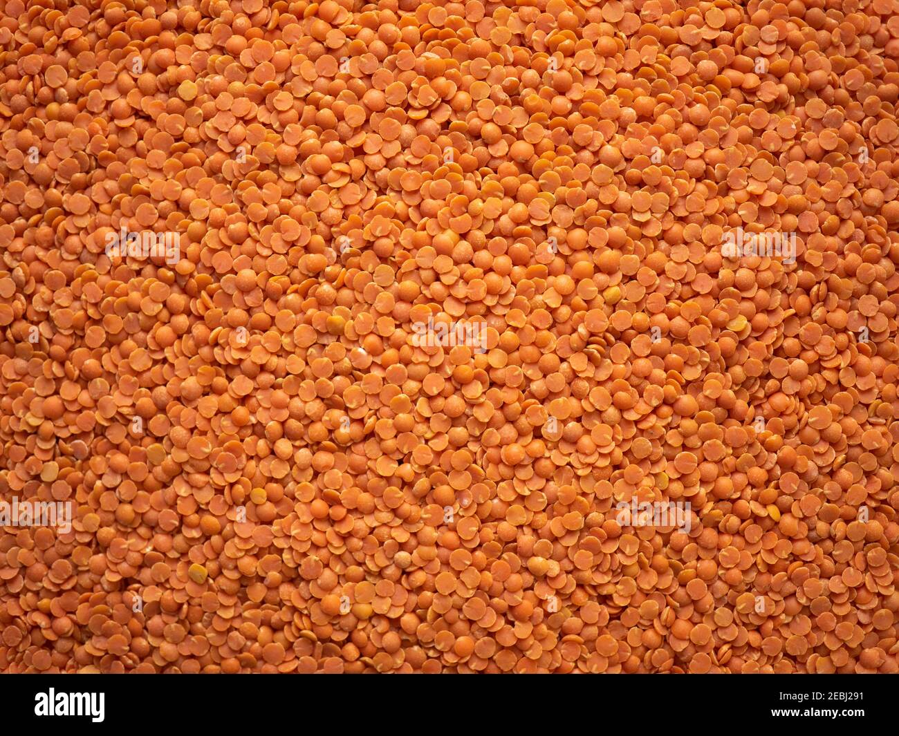 Dried Leguminous Vegetables Meaning In Hindi at Charles McCormick blog