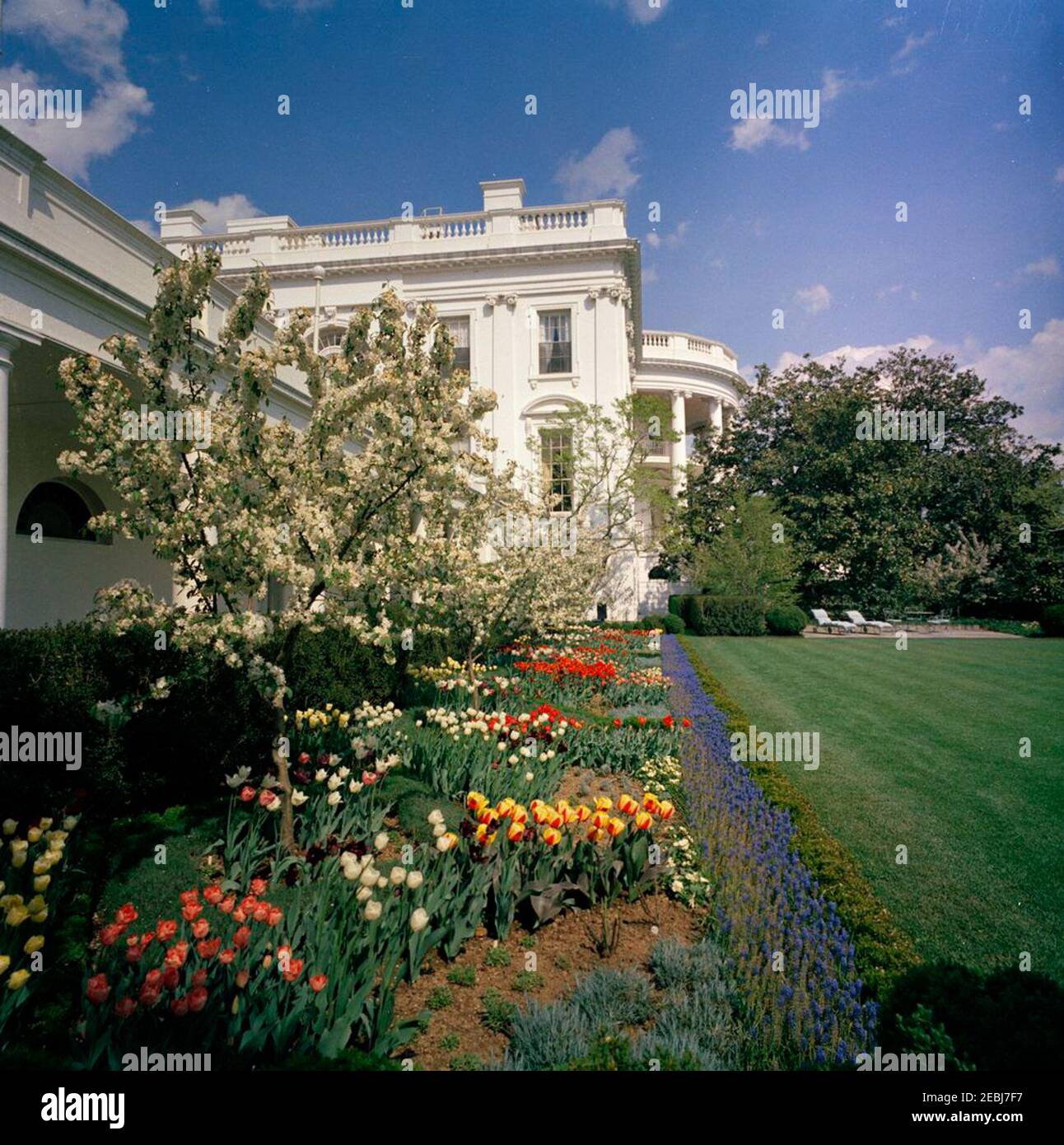 Rose Garden, views. View of the Rose Garden along the West Wing