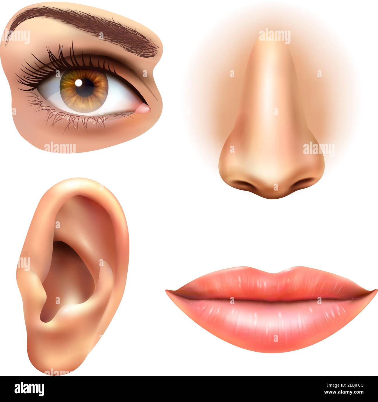 Human face parts 4 sense organs icons square collection of eye nose mouth and ear realistic vector illustration Stock Vector