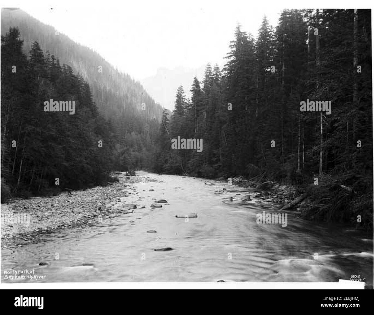 North fork skykomish river Black and White Stock Photos & Images Alamy