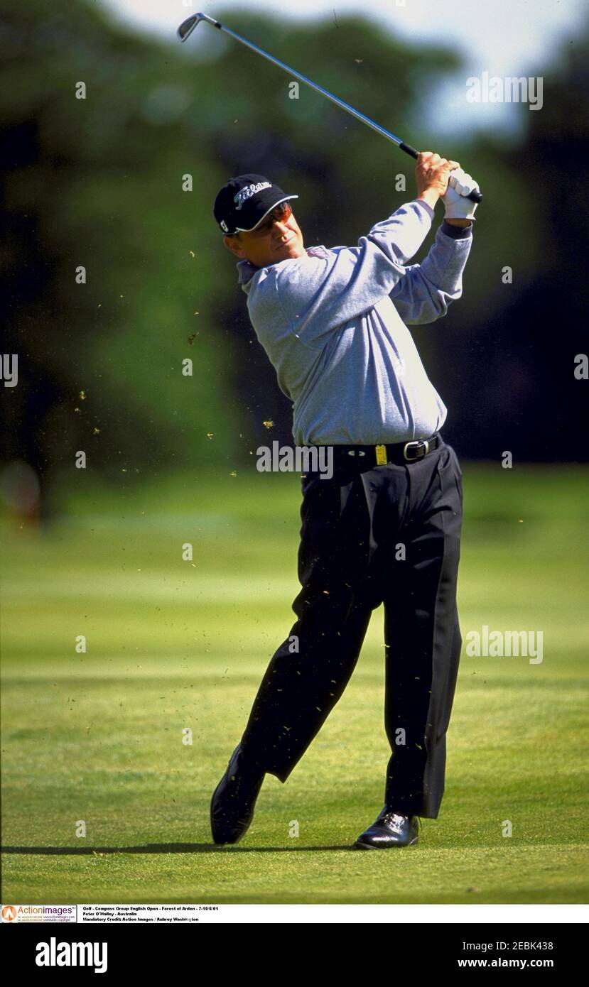 The english open omalley hires stock photography and images Alamy