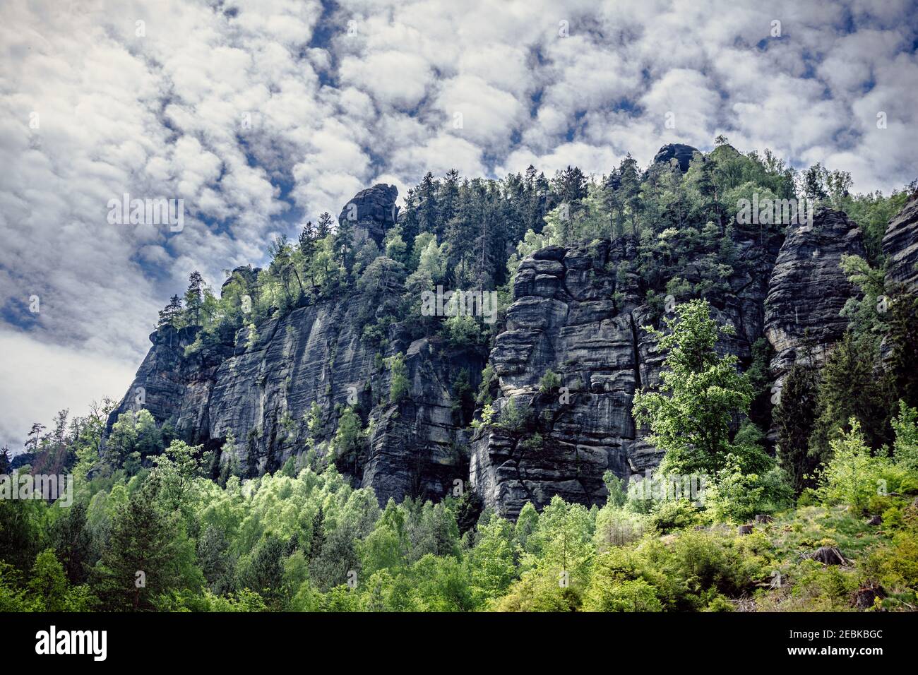 rock formation on hiking trail in Eblsandsteingebirge in Saxon Switzerland Stock Photo