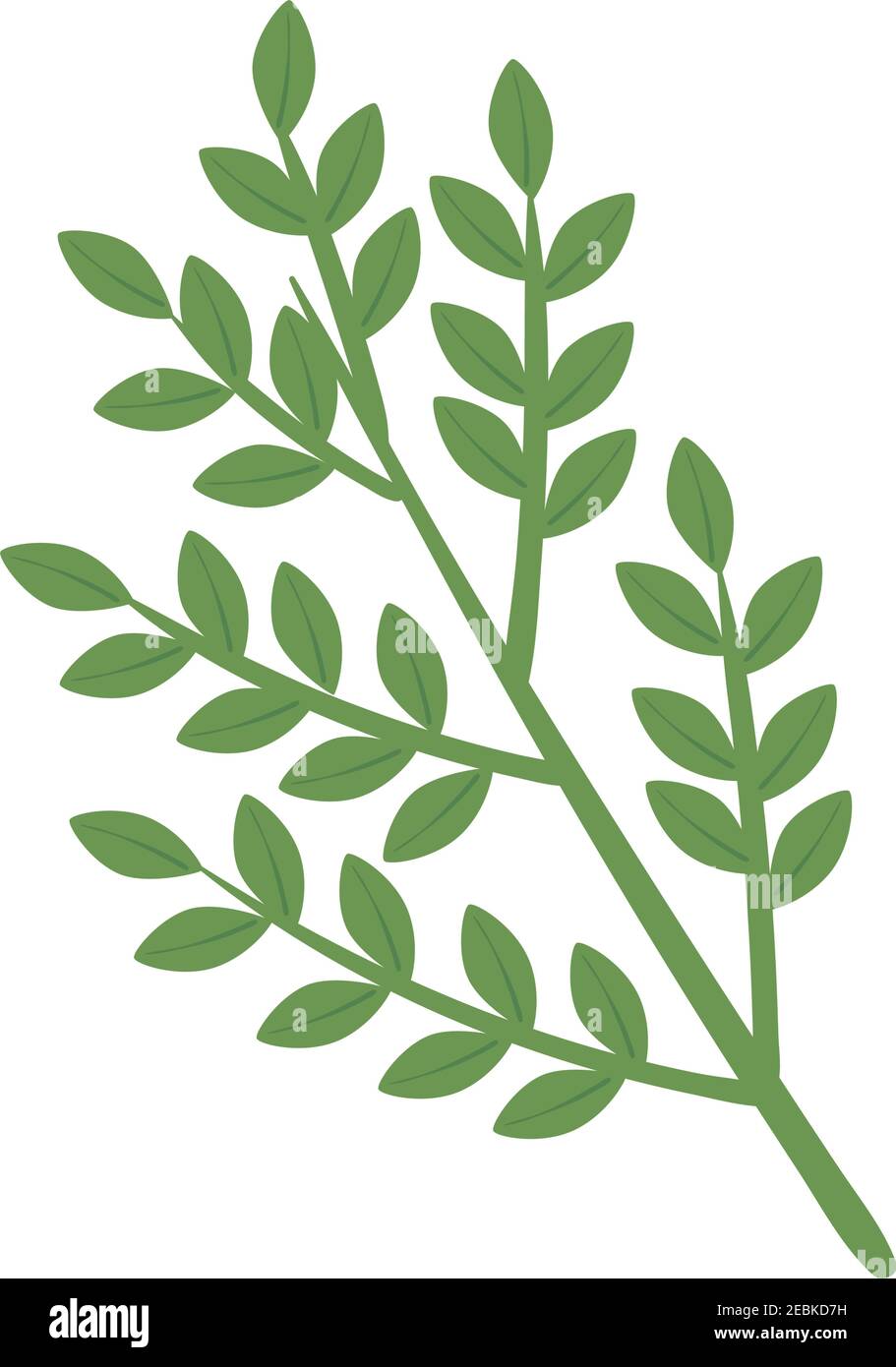 branches and leafs plant nature icon Stock Vector Image & Art - Alamy