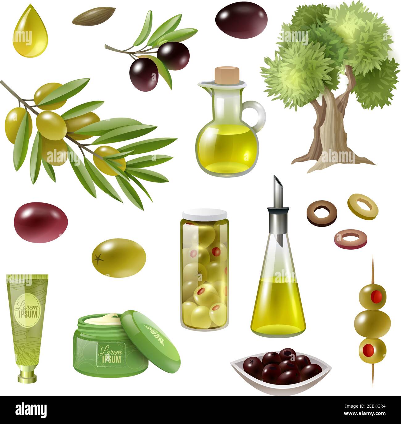 Olive cartoon set with olive tree and oil isolated vector illustration