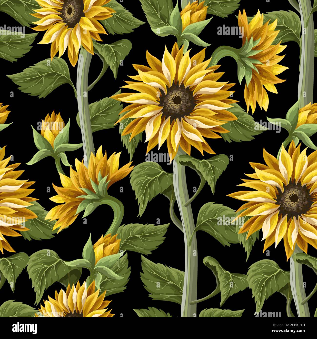 Seamless pattern with sunflowers on a black background. Stock Vector
