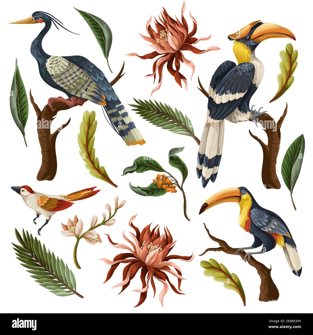 Birds and tropical leaves and flowers isolated. Vector Stock Vector ...