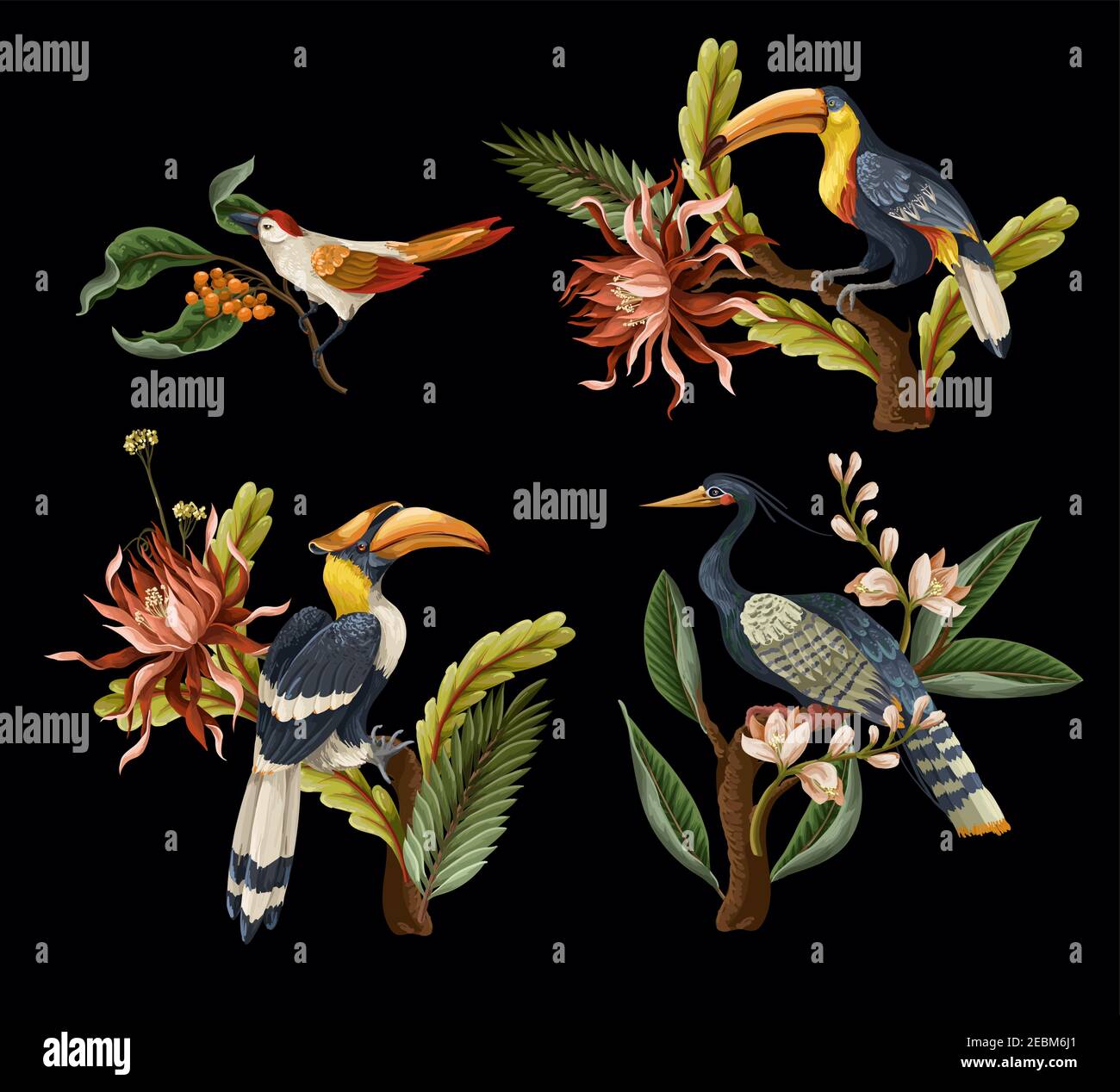 Birds and tropical leaves and flowers isolated. Vector Stock Vector ...