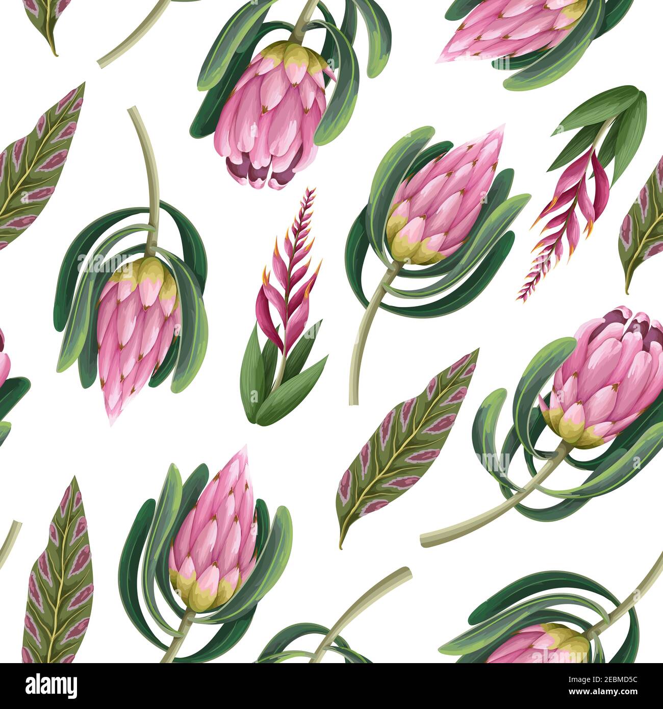 Seamless pattern with proteas flowers. Trendy floral vector print. Stock Vector