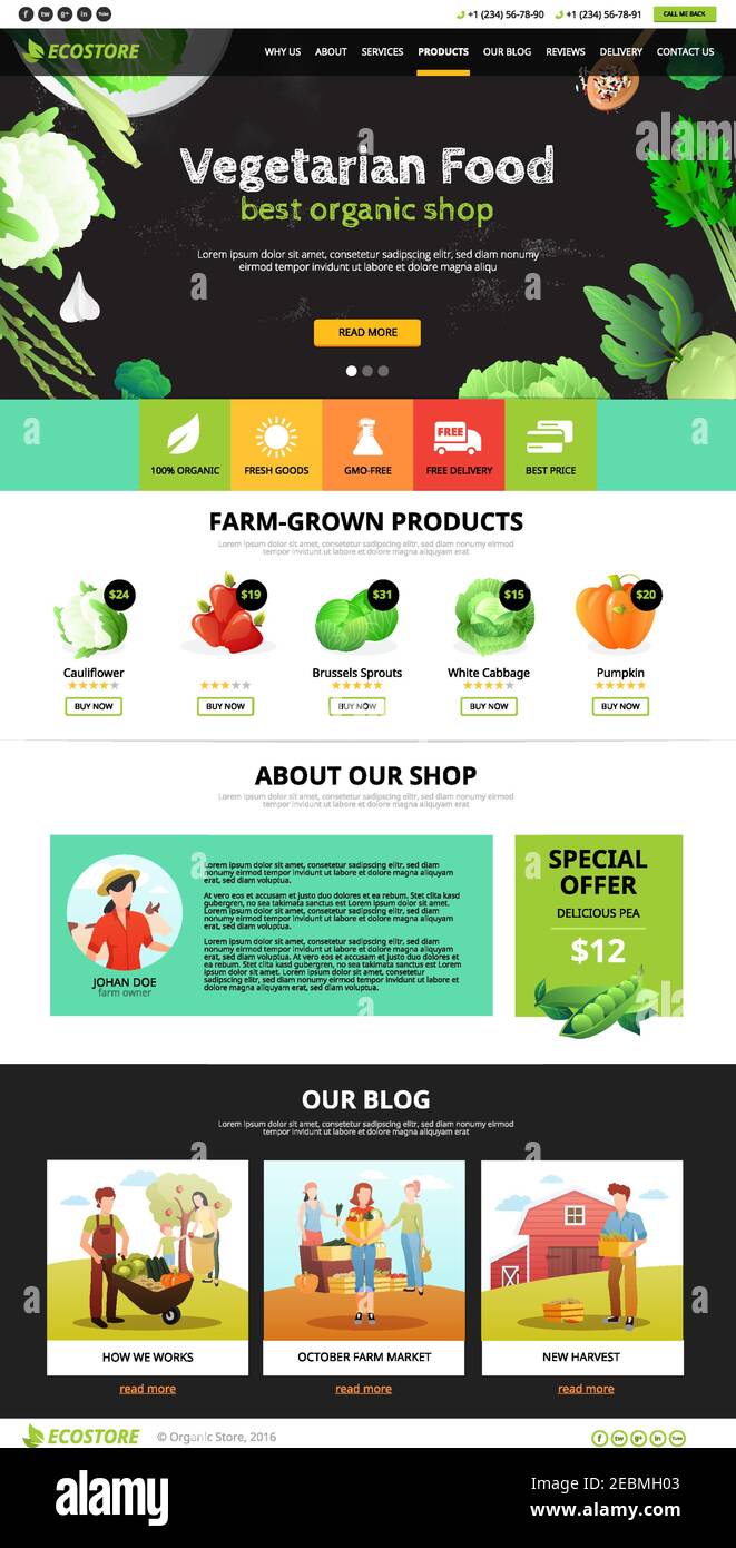 Best organic farm eco food shop of vegetarian products web page flat vector illustration Stock Vector