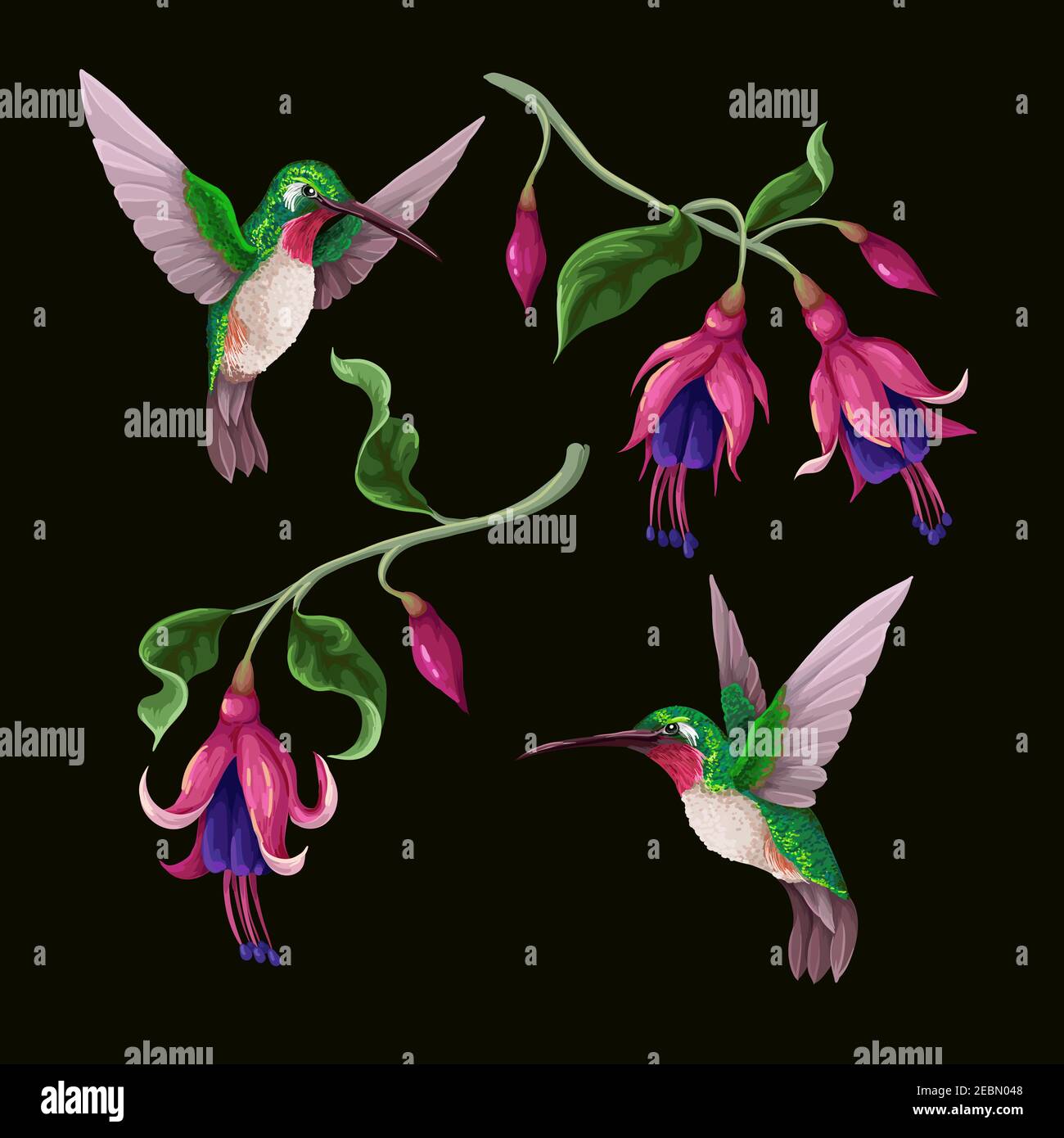 Hummingbirds and tropical flowers isolated. Trendy vector print Stock Vector