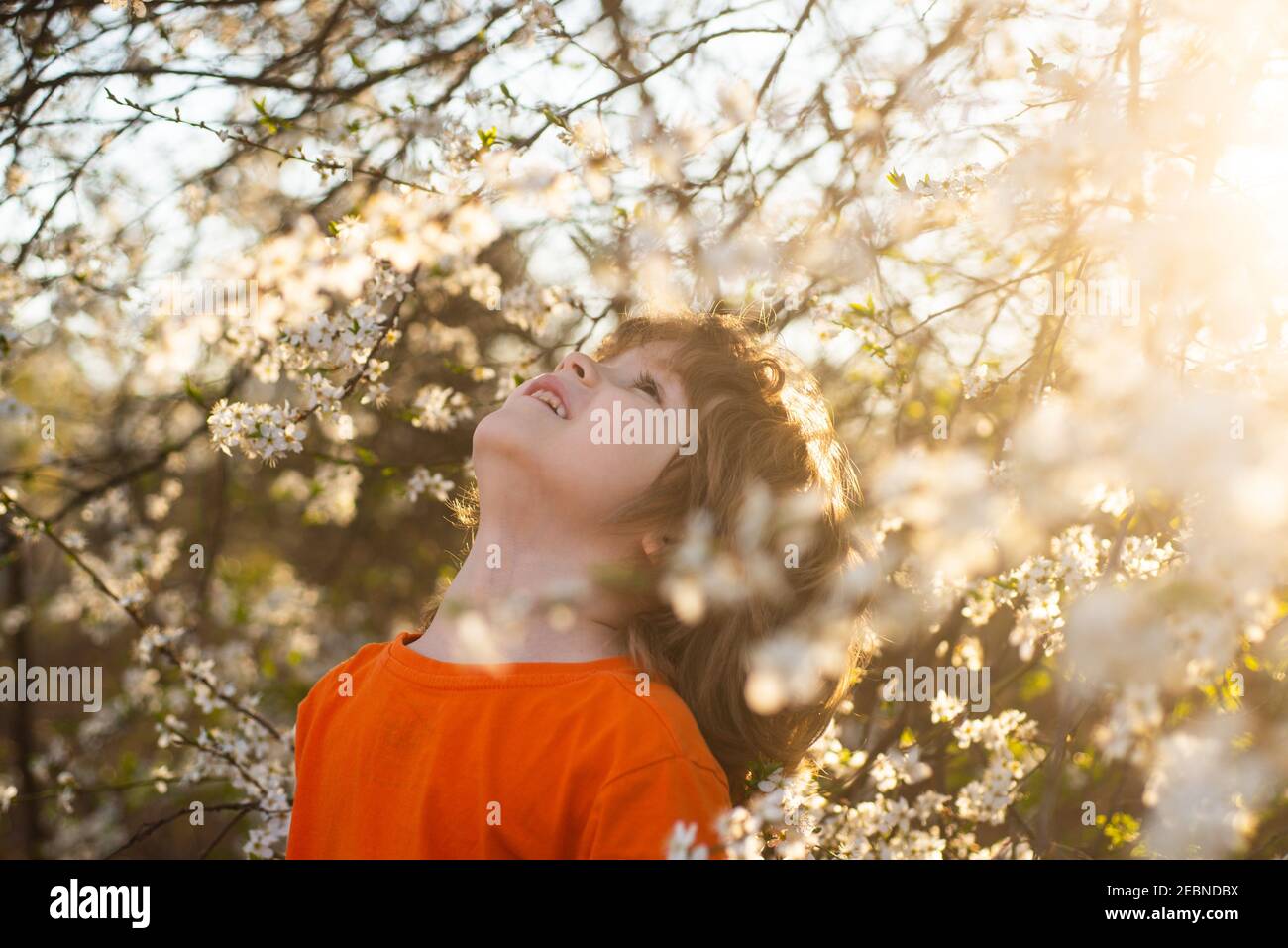 Spring Bloom Boy Spring boy in blooming tree in spring park. Smiling kid outdoor ...