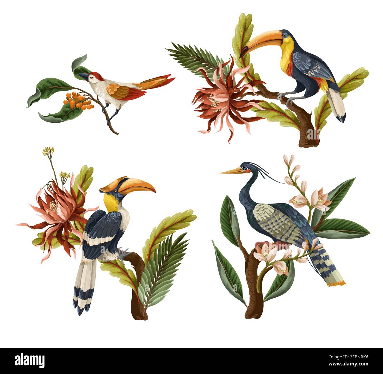 Birds and tropical leaves and flowers isolated. Vector Stock Vector ...