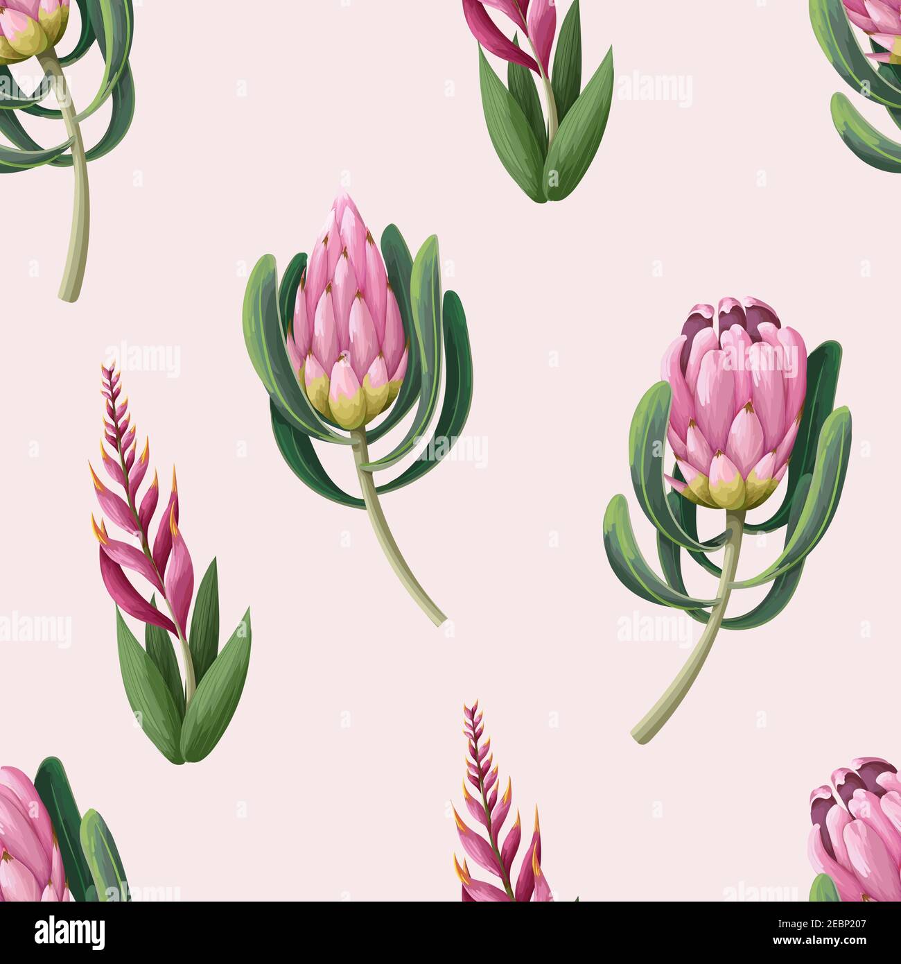 Seamless pattern with proteas flowers. Trendy floral vector print. Stock Vector