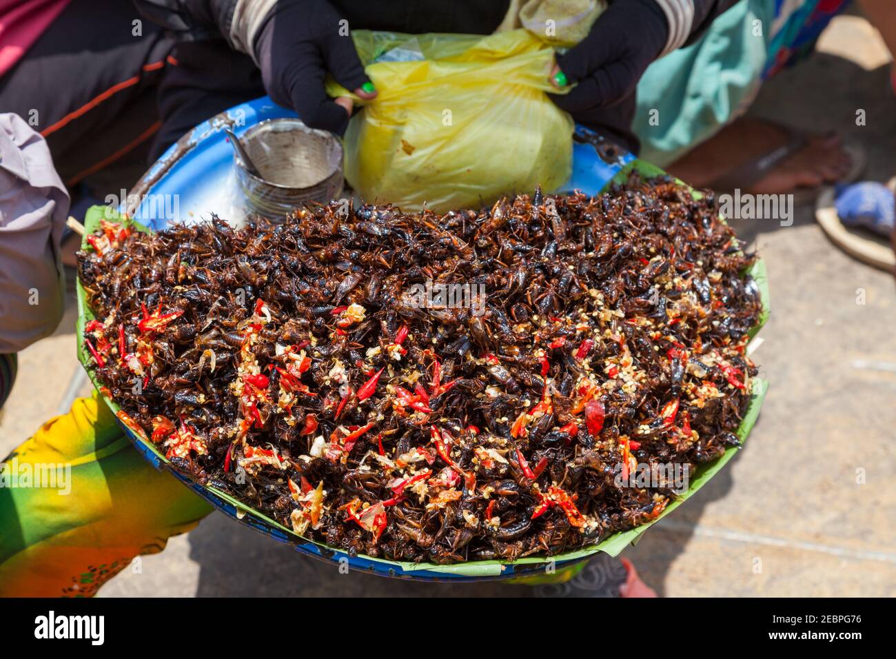 Vietnam market insects hi-res stock photography and images - Alamy