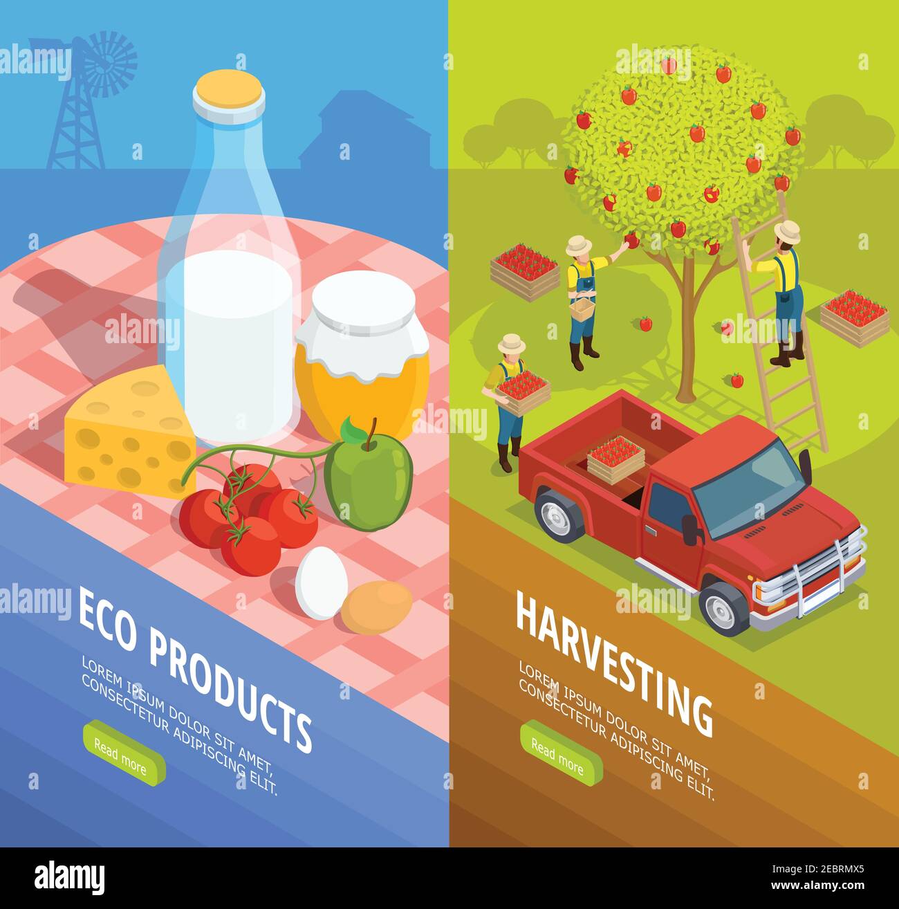 Two vertical isometric farm banner set with eco products and harvesting descriptions vector illustration Stock Vector