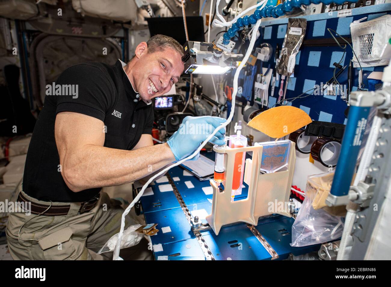 NASA astronaut and Expedition 64 Flight Engineer Michael Hopkins works on hydroponics components for the Plant Water Management study aboard the International Space Station February 8, 2021 in Earth Orbit. Stock Photo