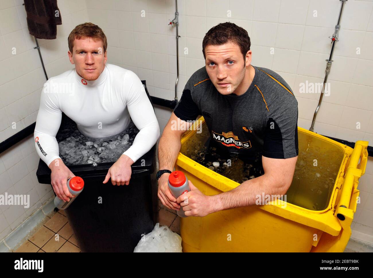 Avenue of rees hires stock photography and images Alamy