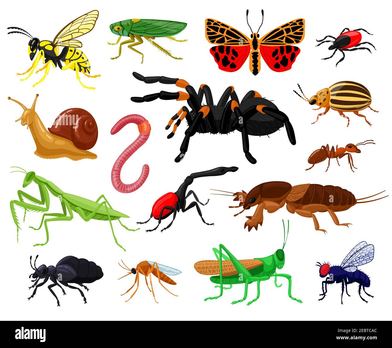 Cartoon insects hi-res stock photography and images - Alamy