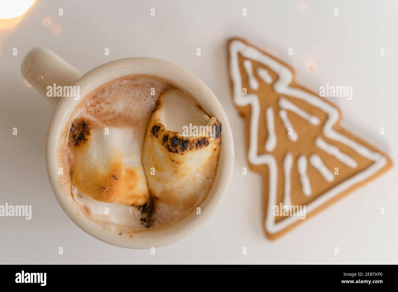 Hot cocoa with gingerbread cookie Stock Photo