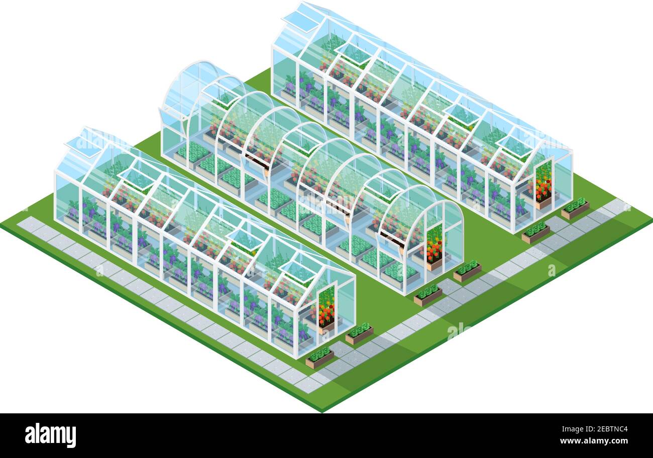 Greenhouses isometric location with eco natural healthy seeding vegetables and plants isolated vector illustration Stock Vector