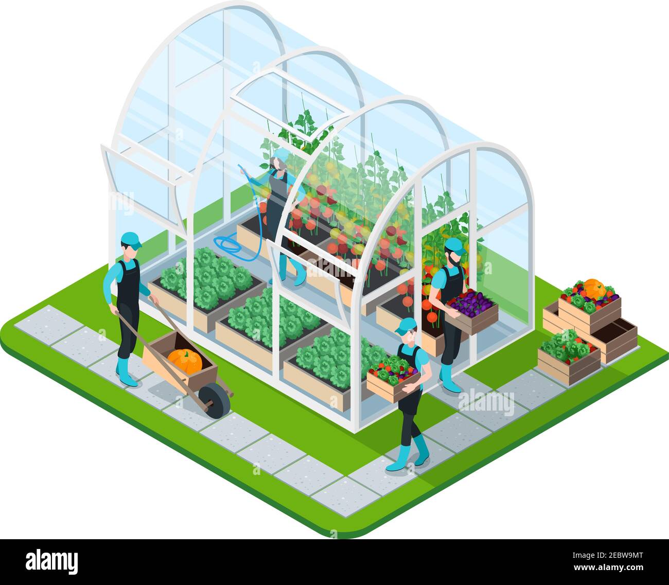 Glass greenhouse isometric template with working people irrigation and watering isolated vector illustration Stock Vector