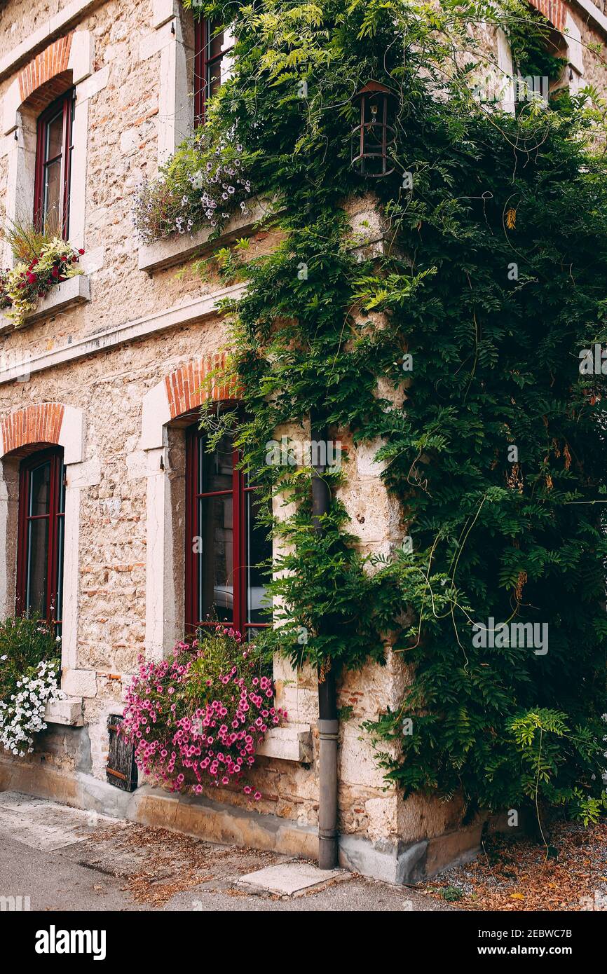 Facade of old stone buildings in Perouges, red windows, flowers, France ...