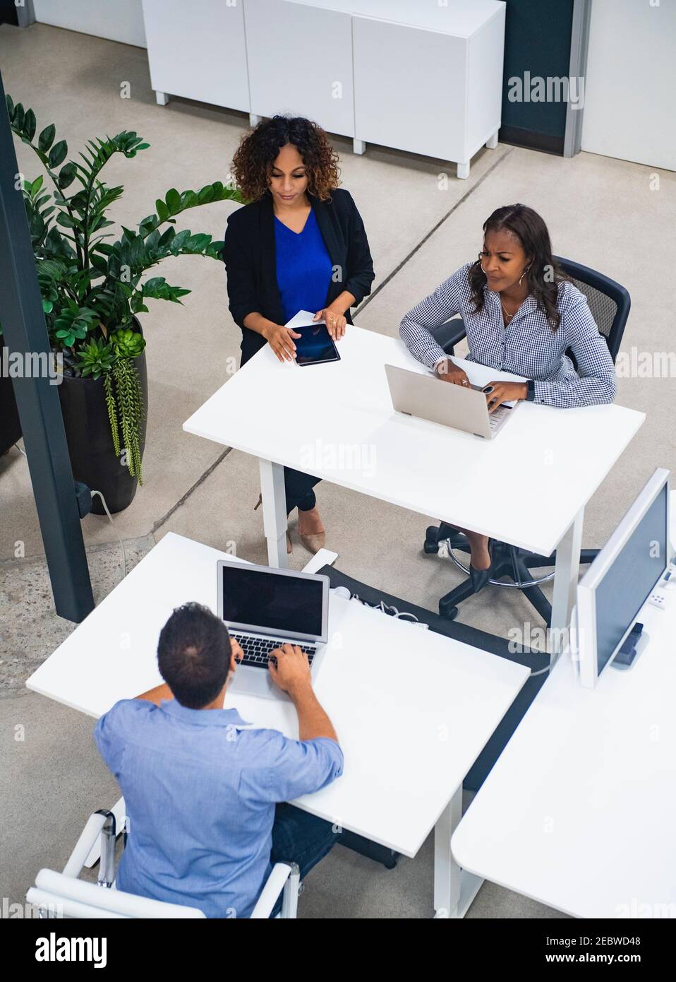 Business people working in office Stock Photo